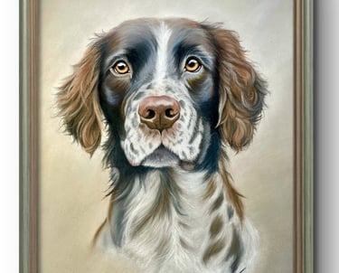 Framed fine art pet portrait of an English Springer Spaniel created by the artist usin soft pastels.