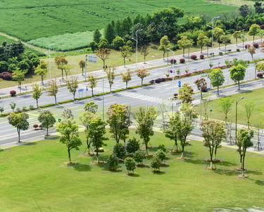 bhumika new plot 100 yards