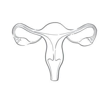 Menstrual cycle informed therapy