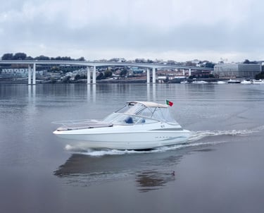 private boat cruising on the Douro River in Portugal with a bridge and cityscape background.