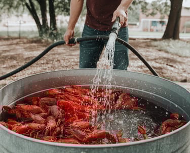 a man spraying crawfish with a water hose