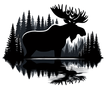 a moose moose moose moose moose moose moose moose moose moose moose moose moose moose moose