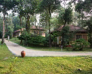 Natural cottages at Agraharam with a lush green pathway.