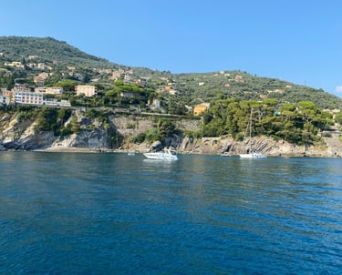 Private boat tour along the coast of the Gulf of Tigullio