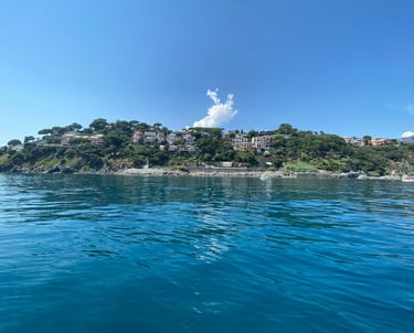 Custom private boat tour along the Ligurian Riviera