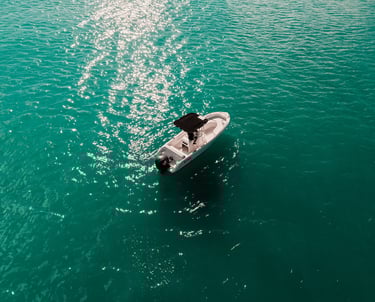 Forboat 34 open excellence nautique caraibes