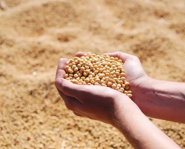 commodities