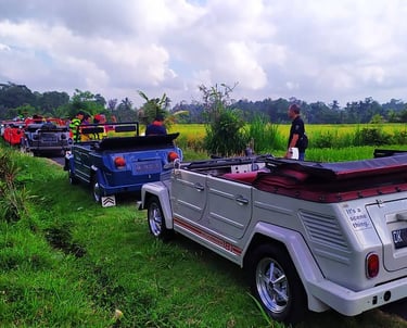 a group of people riding in a small car