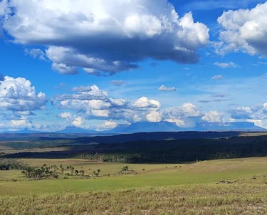 Vue sur les Tepuy de la Gran Sabana