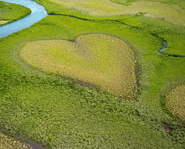 coeur de voh par Xi Serge de PIXABAY