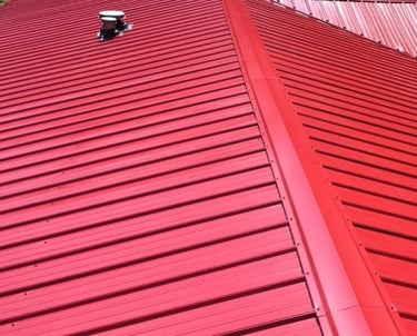 metal roof soft washing 