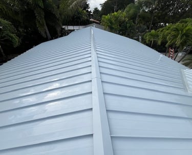 metal roof soft washing broward county fl 