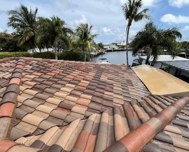 tile roof soft washing services