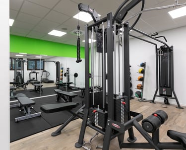 palestra