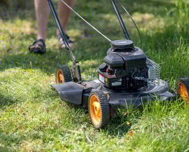 Rasenpflege