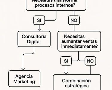 flujo decision consultoria digital agencia marketing eleccion