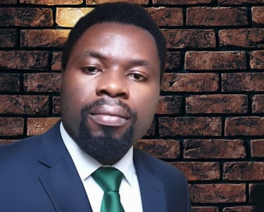 Ilechukwu Michael Chikamso is the CEO of GOA Community Services – View Me, and also the Lead Writer