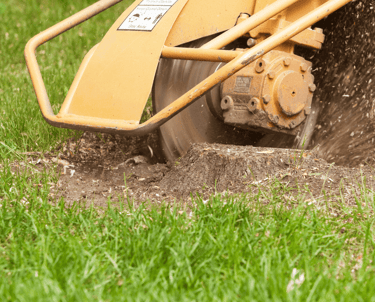 Stump Grinding