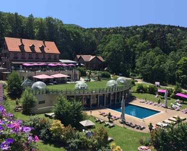 Hotel Spa Les Violettes, séjour d'exception en Alsace