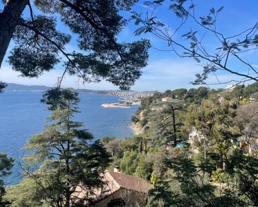 Toulon vu du Cap Brun