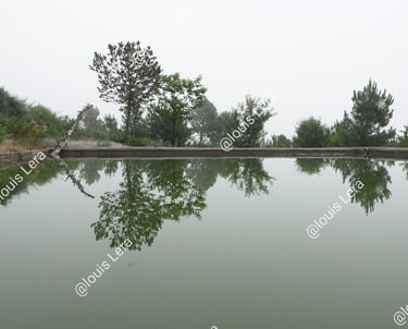 Bassin abreuvoir Sierre de Gredos Espagne