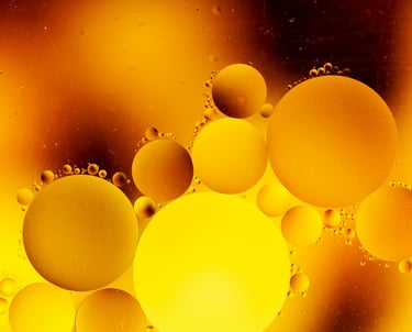 Photo de Solen Feyissa