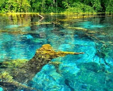 blue eye from saranda price