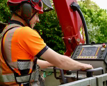 Arborist in cherrypicker 