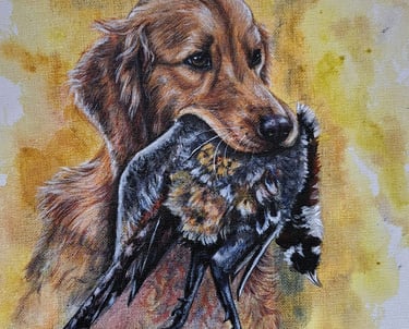 De golden retriever keert terug, trots en toegewijd, met de fazant zacht in zijn bek. In dit stille