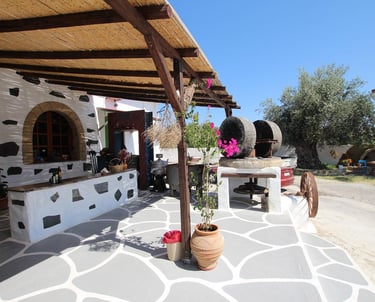 a stone oven with a pizza oven and a table with a potted plant