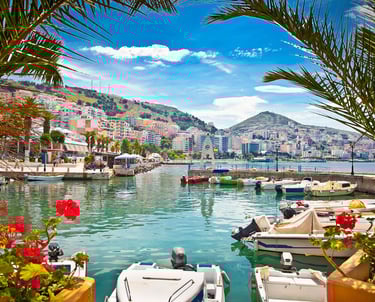 a boat in the water with a palm tree in the background
