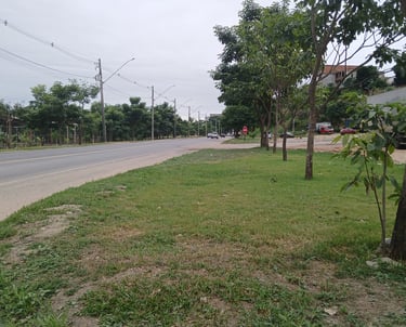 Br 116_Rio/Bahia local: GV_MG_BR