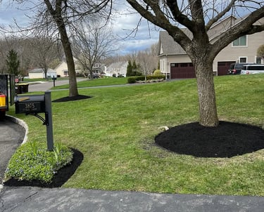 excellent landscaping and hardscaping of grass, stones and trees by NP Landscaping