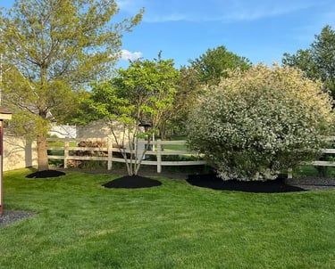 excellent landscaping and hardscaping of grass, stones and trees by NP Landscaping