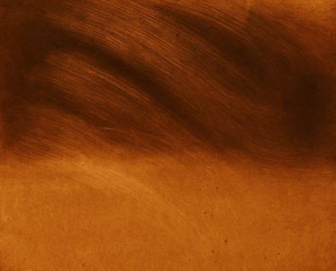 a brown and black photo of a brown and white photo
