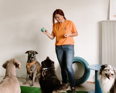 Laetitia avec pleins de chiens - patch guard et strasdog en partenariat