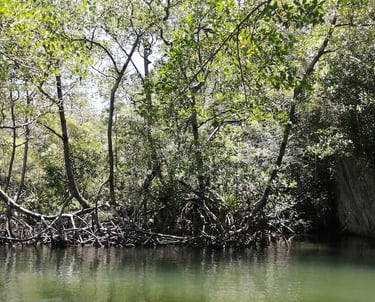 Los Haitises National Park