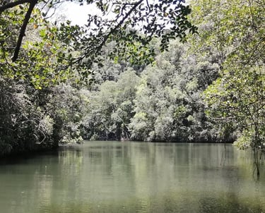Los Haitises National Park