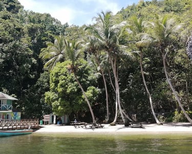 Los Haitises National Park