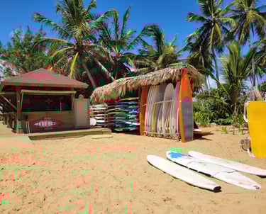 Playa Macao Beach Surf