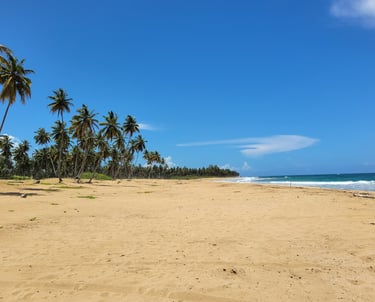 Playa El Limon Beach