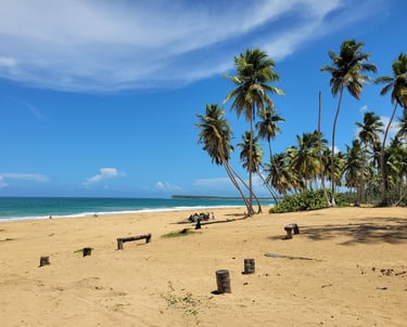 Playa El Limon Beach