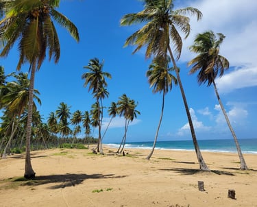 Playa El Limon Beach