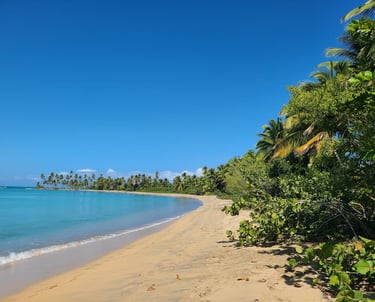 Playa Esmeralda Beach