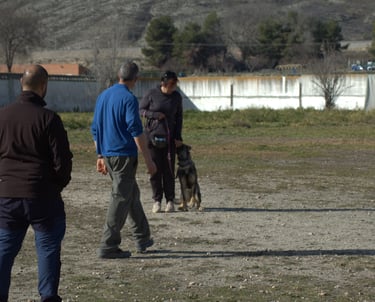 a group of people walking with dog around a field