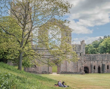 `fountain abbey spring couple with dog on the grass enjoying the atmosphere