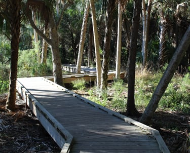 Nature Coast Walking Trails