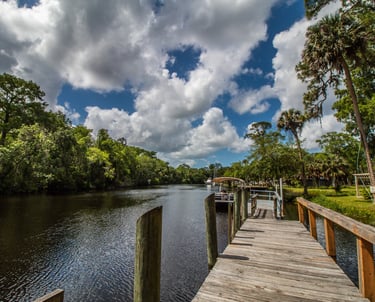 Visit The Nature Coast