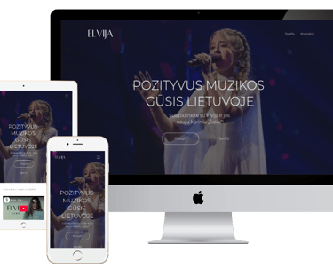 www.elvija.lt web standart