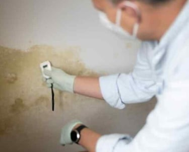 MoldWarden Basic Mold Inspection, Carlsbad, Vista, Oceanside